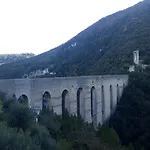 Grazioso