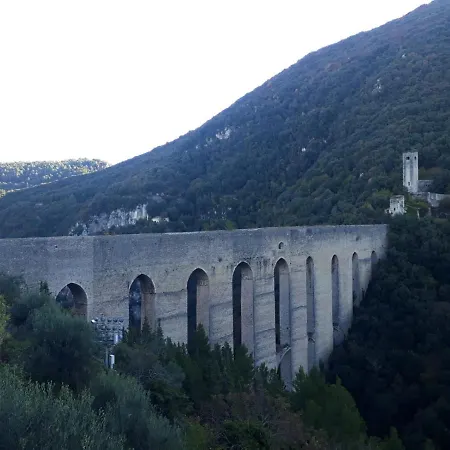 Grazioso