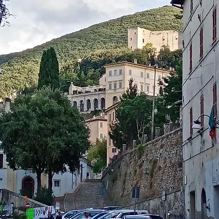 Grazioso *